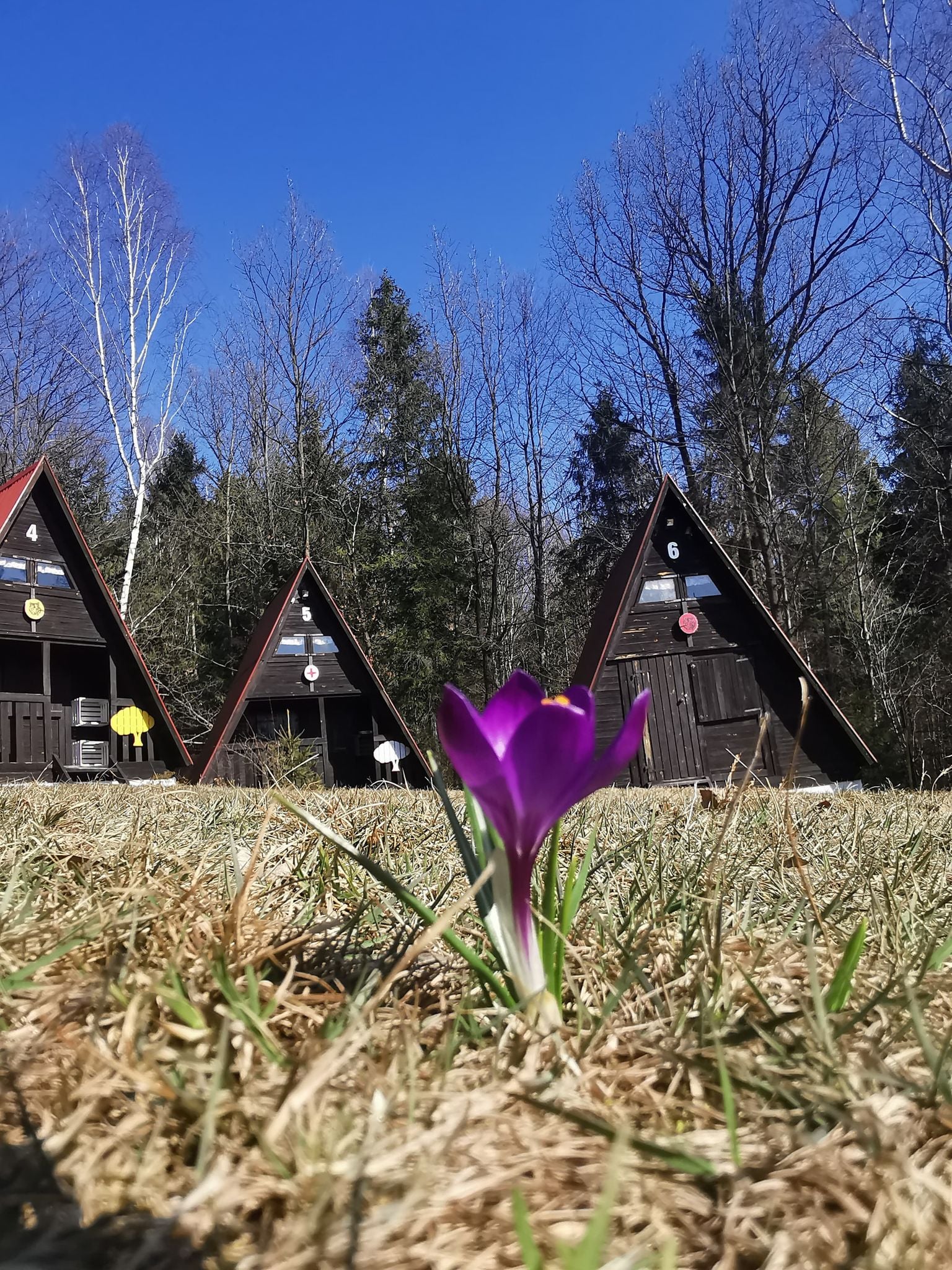 Otwarcie OH „Wilczysko”